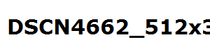 DSCN4662_512x384