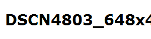 DSCN4803_648x486